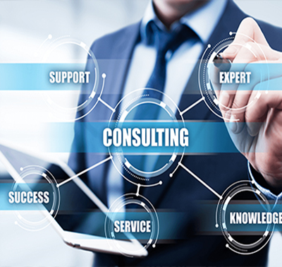 Consulting Services