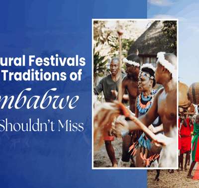 Cultural Organisations